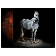 Load image into Gallery viewer, TRADESTOCK &lt;BR&gt;
Set of 4 Table Mats and Free Coasters &lt;BR&gt;
Horse &lt;BR&gt;
