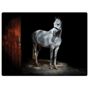 TRADESTOCK <BR>
Set of 4 Table Mats and Free Coasters <BR>
Horse <BR>