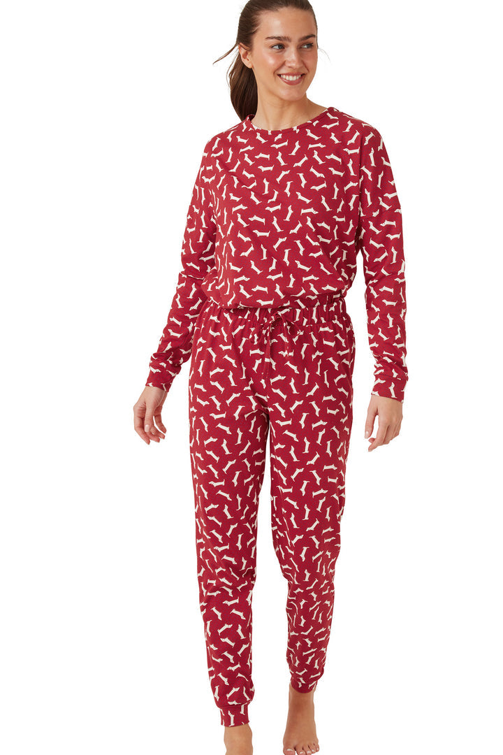 INDIGO SKY <BR>
Dotty Dachshund Knitted Cotton Jogger Pyjama Set <BR>
Red <BR>