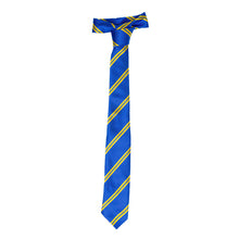 Load image into Gallery viewer, MARIST &lt;BR&gt;
School Tie &lt;BR&gt;
Blue &amp; Gold Striped &lt;BR&gt;
