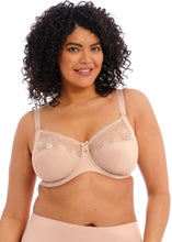 Load image into Gallery viewer, ELOMI &lt;BR&gt;
Morgan Stretch Banded Bra &lt;BR&gt;
Sahara &lt;BR&gt;
