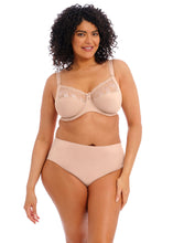 Load image into Gallery viewer, ELOMI &lt;BR&gt;
Morgan Stretch Banded Bra &lt;BR&gt;
Black or Sahara available &lt;BR&gt;
