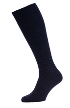 Load image into Gallery viewer, HJ SOCKS GROUP&lt;BR&gt;
Immaculate Socks&lt;BR&gt;
Navy&lt;BR&gt;
