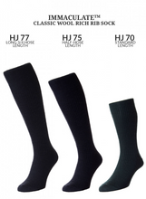 Load image into Gallery viewer, HJ SOCKS GROUP&lt;BR&gt;
Immaculate Socks&lt;BR&gt;
Navy&lt;BR&gt;
