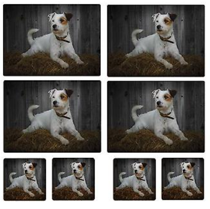 TRADESTOCK HOME<BR>
IStyle Rural Roots Jack Russell Placemats/Coasters<BR>