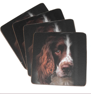 TRADESTOCK HOME<BR>
IStyle 4X Springer Spaniel Placemats/Coasters<BR>