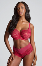 Load image into Gallery viewer, PANACHE&lt;BR&gt;
Allure Brief&lt;BR&gt;
