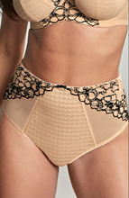 Load image into Gallery viewer, PANACHE&lt;BR&gt;
Envy Brief&lt;BR&gt;
